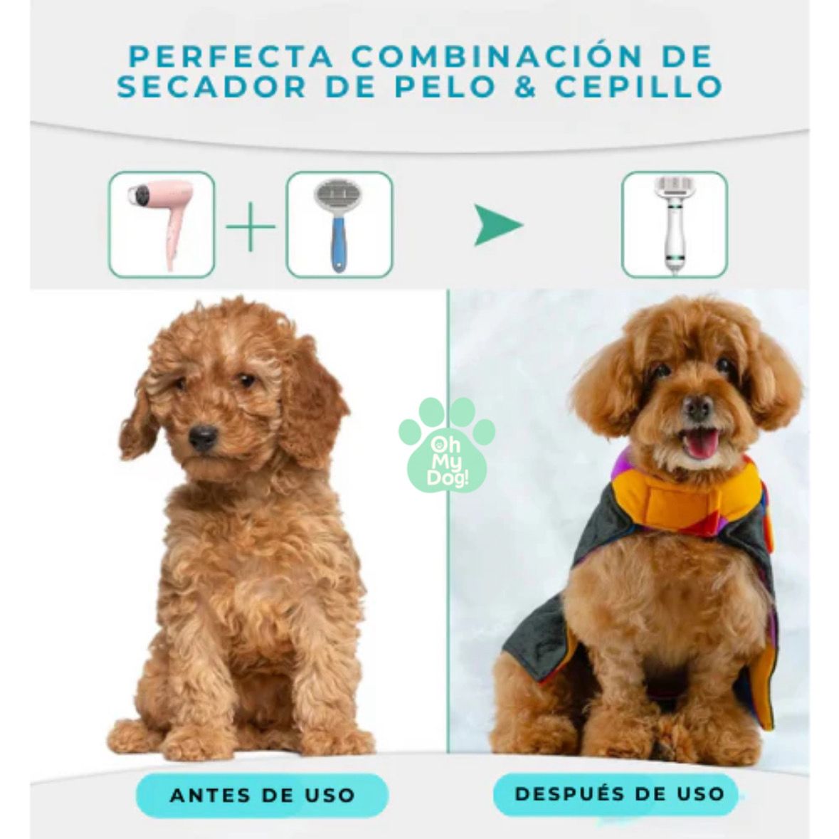 Cepillo Secador 2 en 1 – El aliado perfecto para el cuidado de tu mascota
